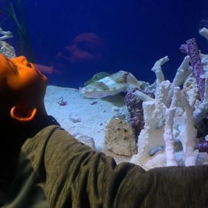 Meet your Posher, Kristal